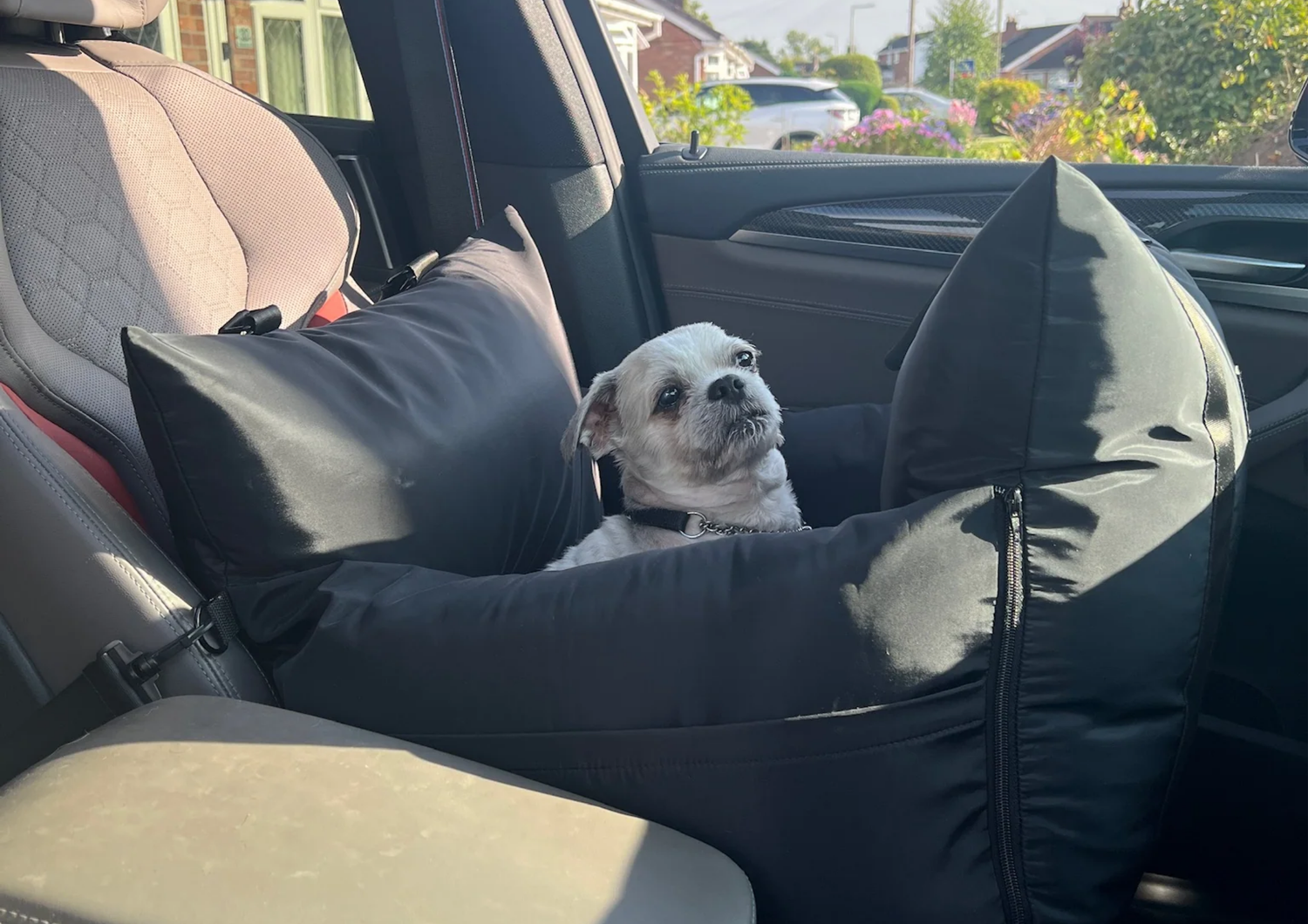 Paws and Patience: The Ultimate Guide to Pet Etiquette in the Car