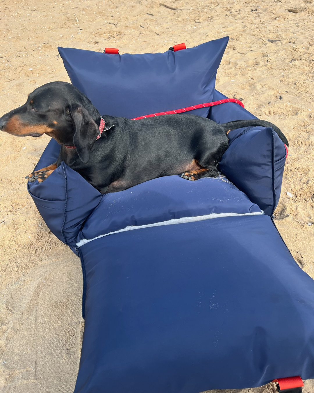 3 in 1 Dog Travel Bed