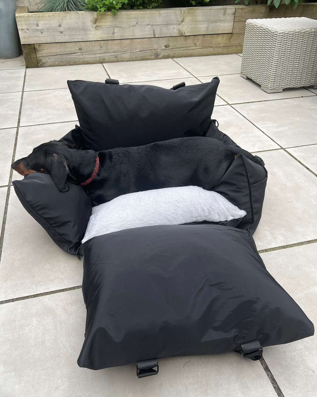 3 in 1 Dog Travel Bed