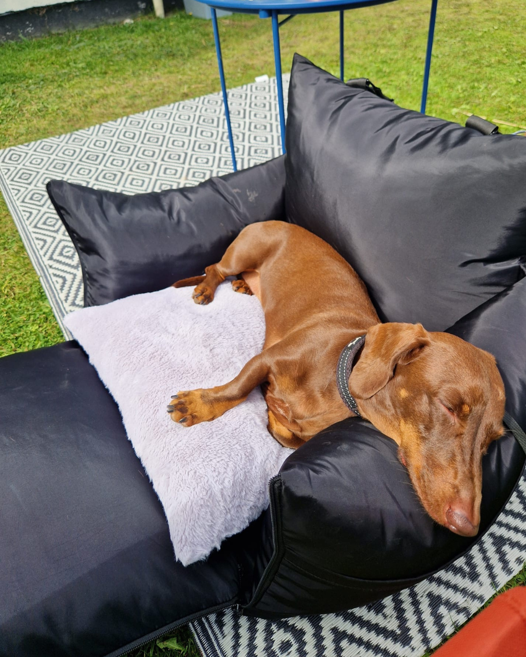 3 in 1 Dog Travel Bed